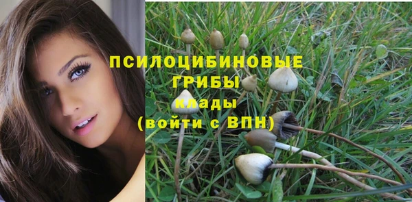 соль курить ск Бугульма