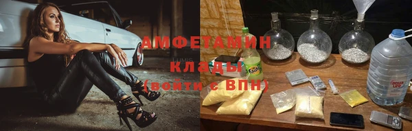 мдпв Бородино