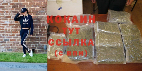 мдпв Бородино