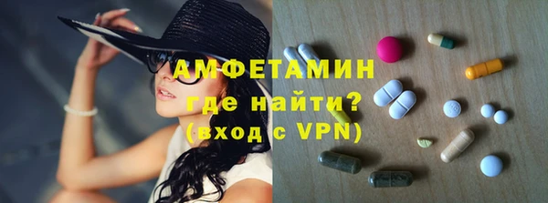 мдпв Бородино