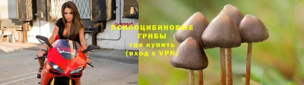 PSILOCYBIN Богданович