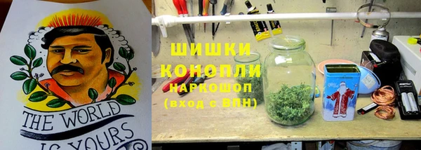 PSILOCYBIN Богданович