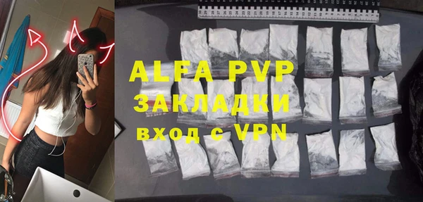 PSILOCYBIN Богданович