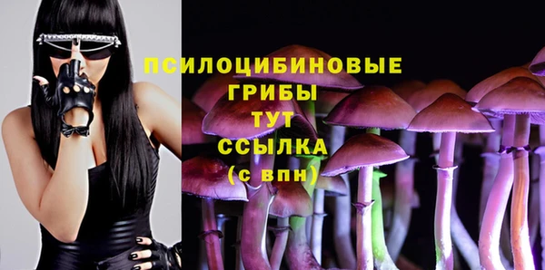 PSILOCYBIN Богданович