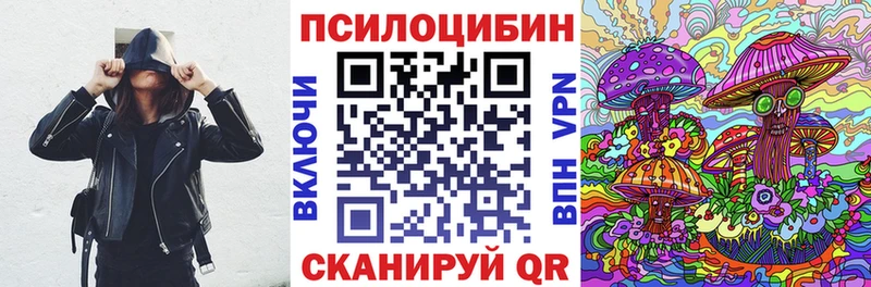 blacksprut как войти  хочу наркоту  Мураши  Псилоцибиновые грибы GOLDEN TEACHER 